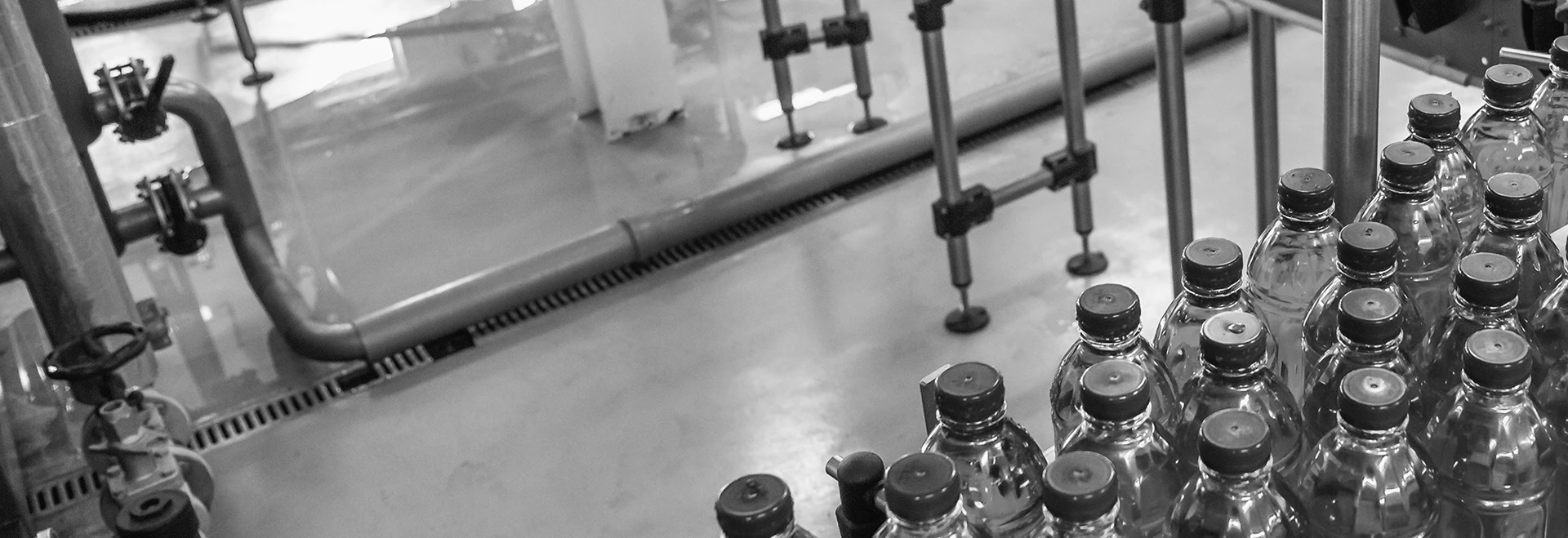 This is a photo of bottles on a production line
