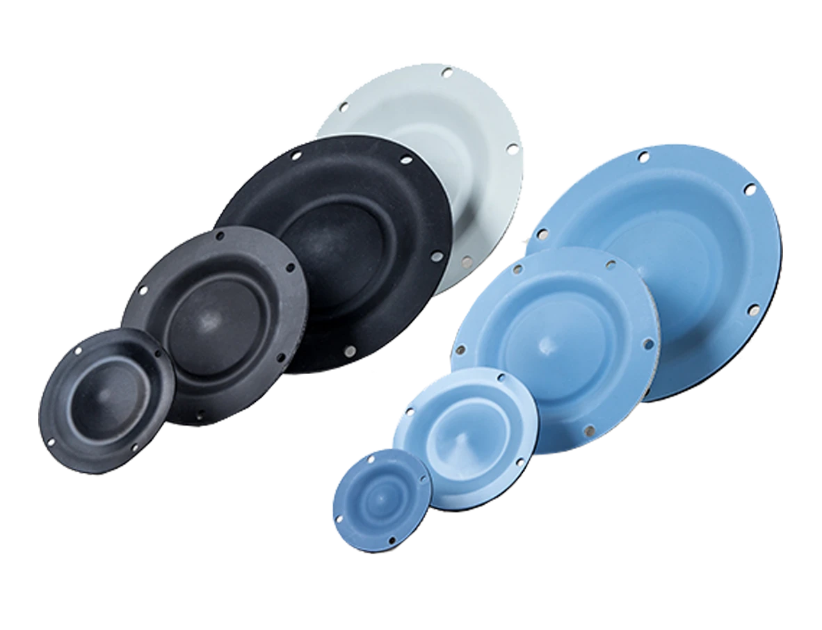 This is a picture of diaphragms