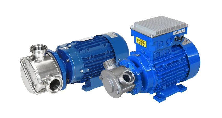 Photo of 2 Liverani Pumps