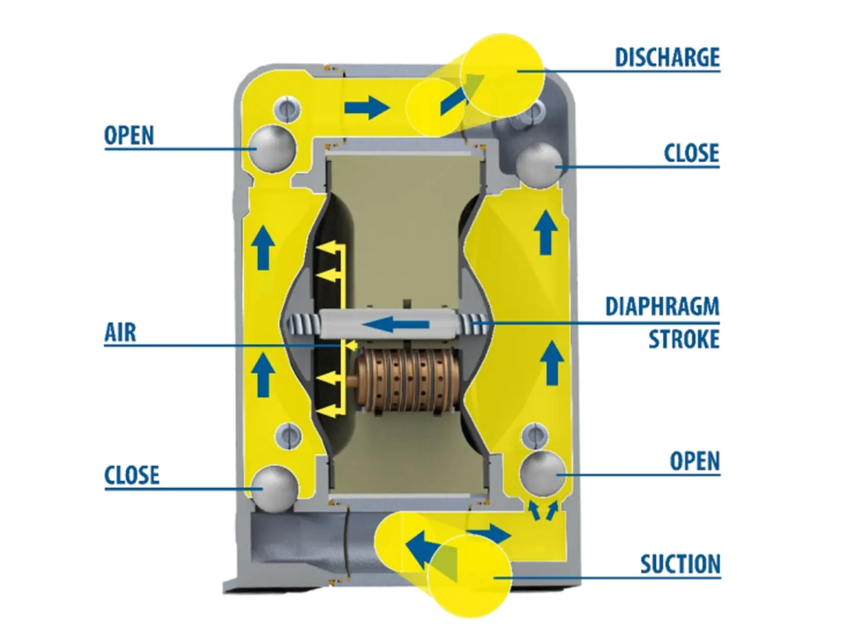 Inner workings of a Diaphragm pump