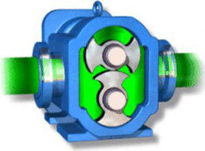 Operating Principle of a Lobe Pump